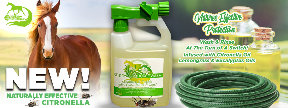 Citronella Horse Wash Infused with Citronella Oil, Lemongrass & Eucalyptus Oils