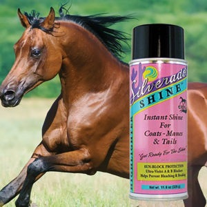 Horse Sheen Coat Gloss for Coat, Mane & Tail by Silverado - Horse Grooming  Solutions