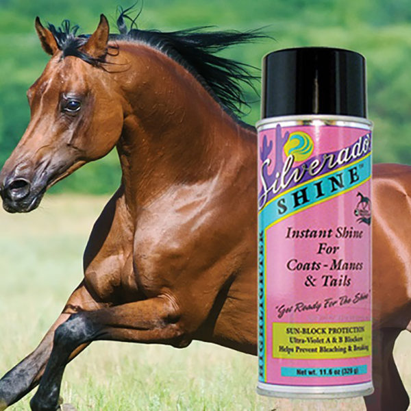 Horse Shine Highlighter Conditioner for Coat, Mane & Tail by Silverado-Aerosol