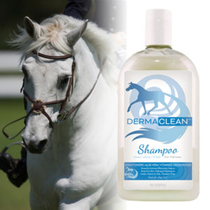 Derma Clean Horse Shampoo