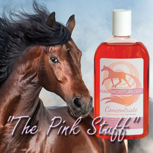 Horse Shine Highlighter Conditioner for Coat, Mane & Tail by Silverado -  Horse Grooming Solutions