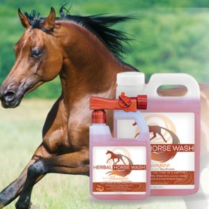 Herbal Horse Wash Shampoo