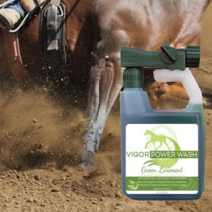Horse Liniment Power Wash for Coat, Mane, Tail, Leg & Body by Healthy HairCare