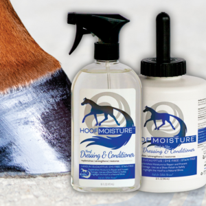 Horse Citronella Spray for Coat, Mane & Tail by Healthy HairCare - Horse  Grooming Solutions