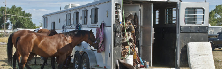 Horse Show Trailer