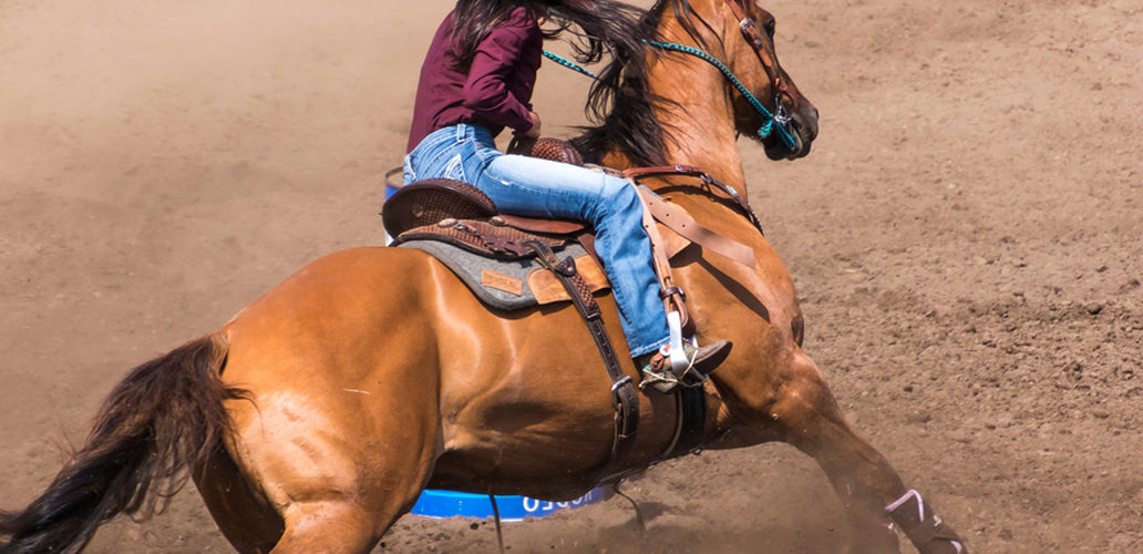 Gorgeous horse barrel racing