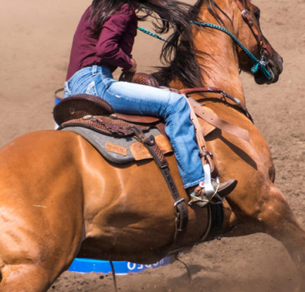 Gorgeous horse barrel racing