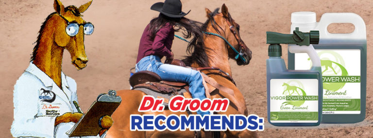 Dr. Groom Recommends Vigor Liniment Wash