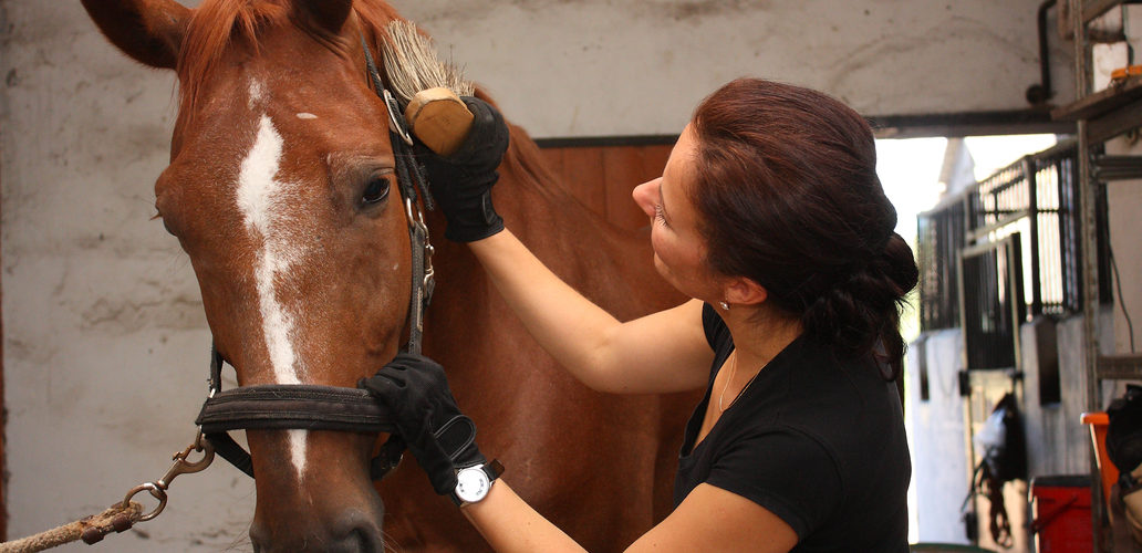 Enjoying time with your horse