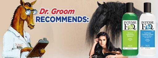 Dr, groom Recommends Intense EQ