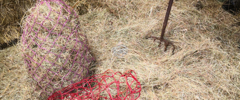 Hay nets surrounded by hay