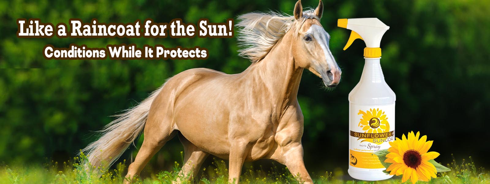 Horse Sunscreen SPF Sunflower Suncoat for Coat, Mane and Tail by Healthy HairCare
