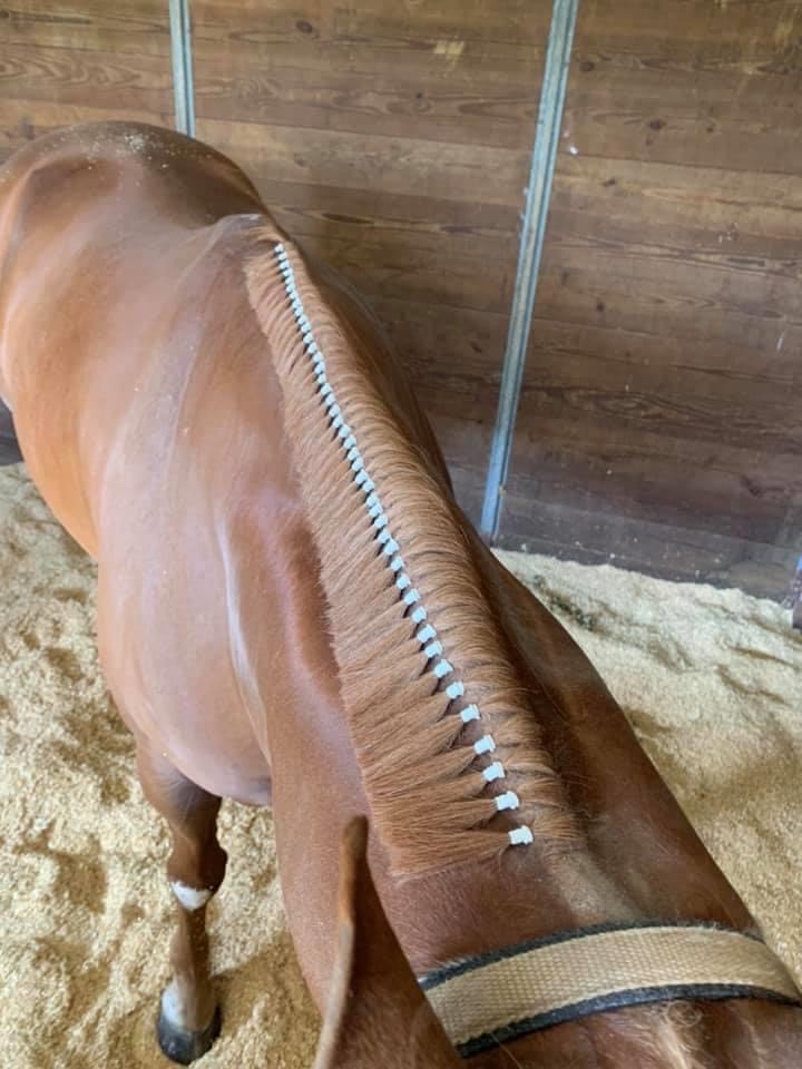 Braiding bands for mane and tail - westernwelt onlineshop for