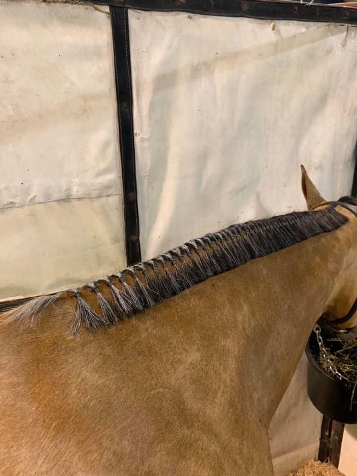 WEAVER RUBBER BANDS FOR MANE AND TAIL BRAIDING 