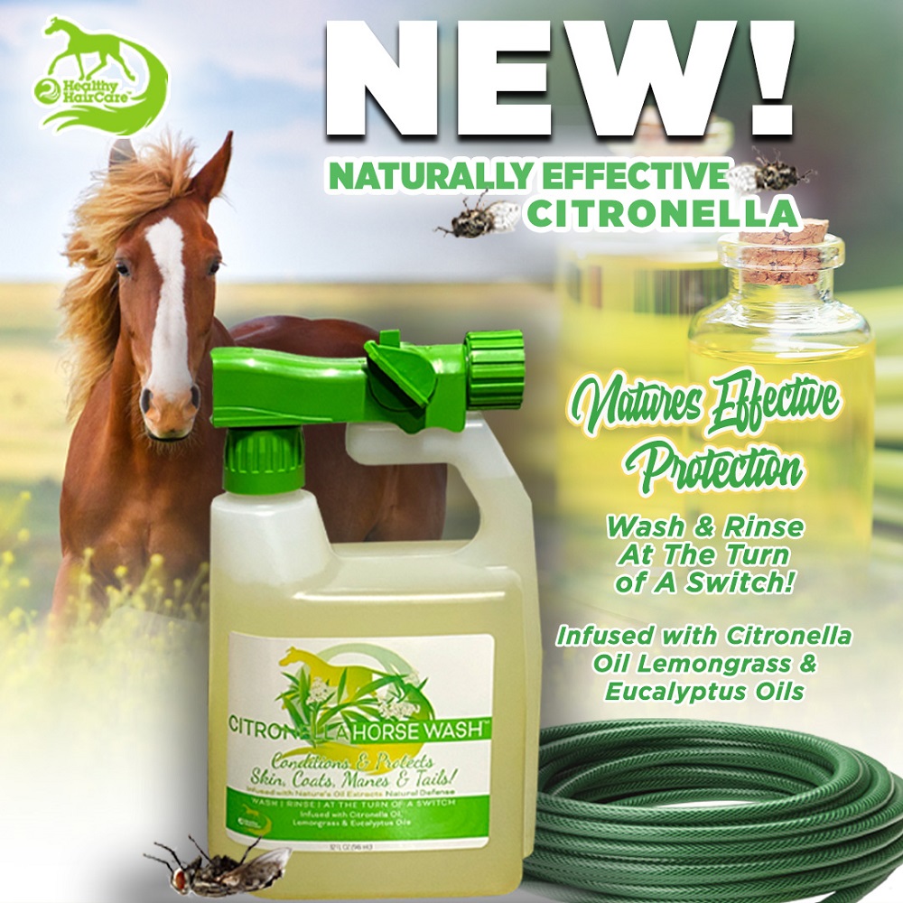 NaturVet Natural Horse Spray Repellant – For Horses Coat, Legs, Shoulders &  Neck – Includes Citronella, Rosemary, Cedar Oils – Herbal Fragrance for