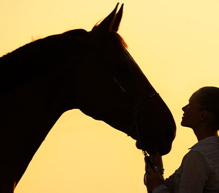 Woman with her horse backlit by sunlight