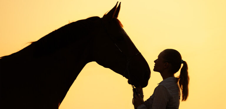 Woman with her horse backlit by sunlight