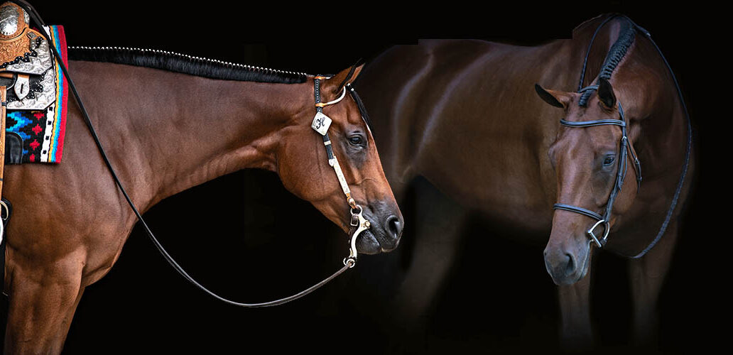 Show Grooming Images