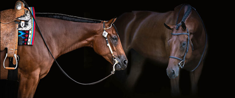 Show Grooming Images