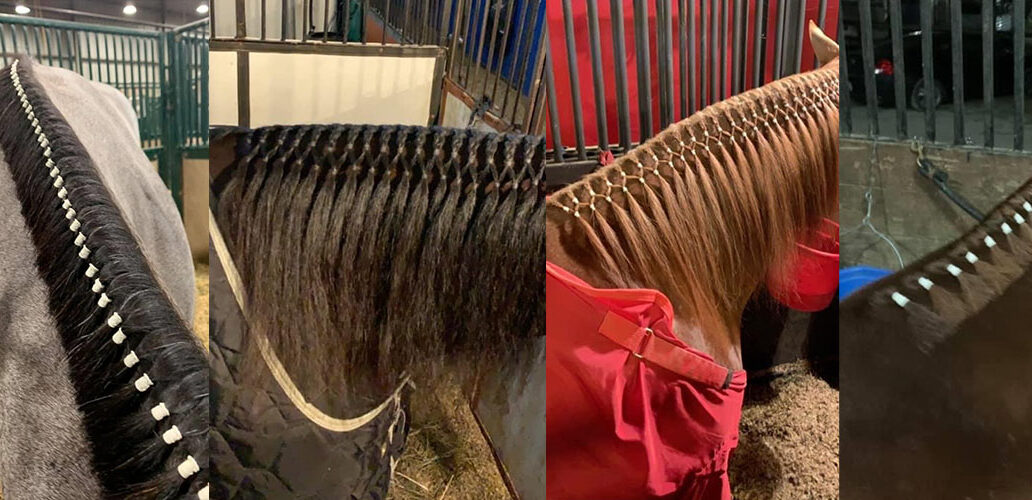 Super Bands by Healthy HairCare are an ideal choice for your horse's mane.