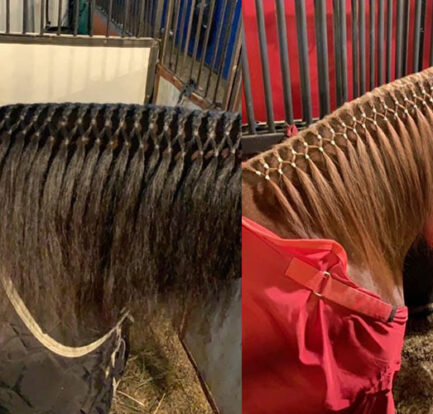 Super Bands by Healthy HairCare are an ideal choice for your horse's mane.