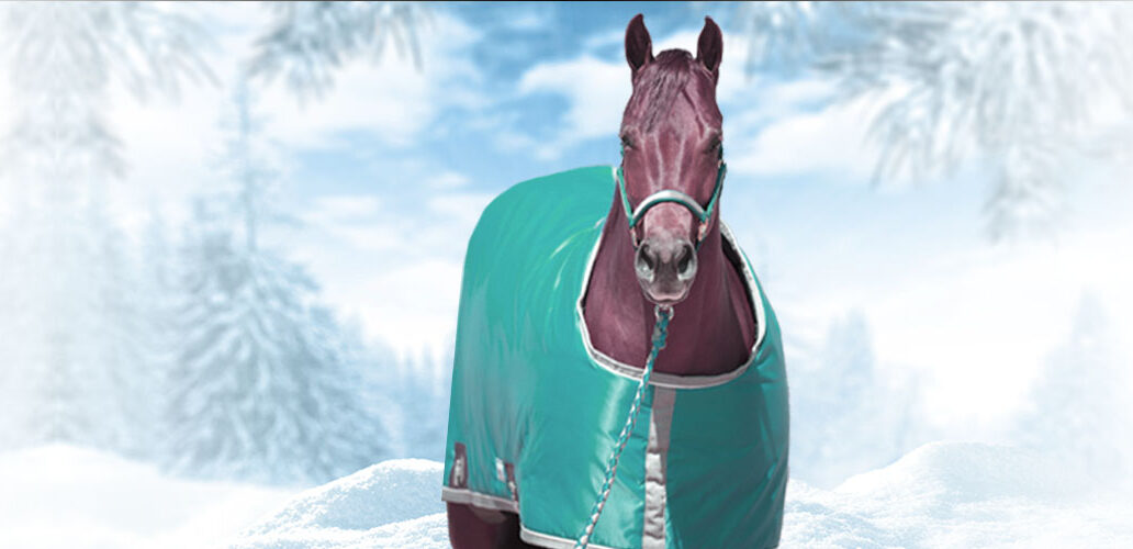 Avoid Winter's dry coats and static with "The Pink Stuff"