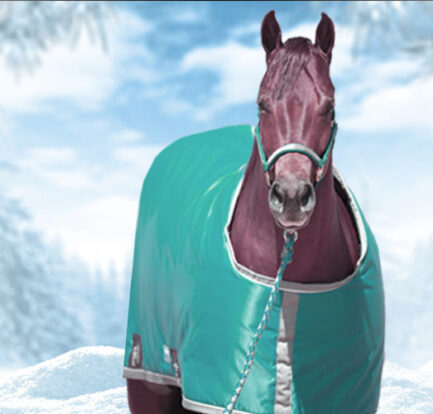 Avoid Winter's dry coats and static with "The Pink Stuff"