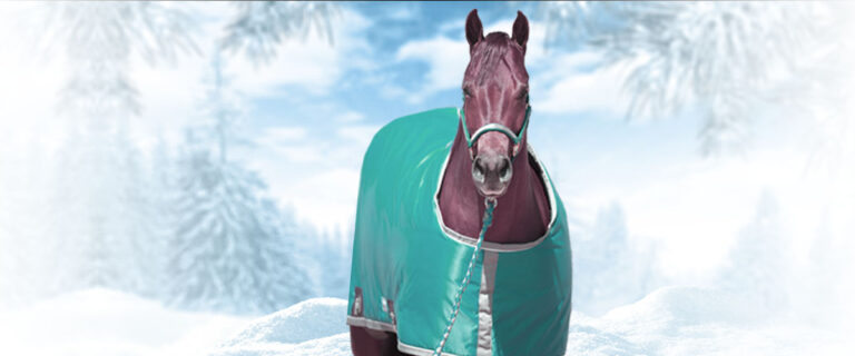 Avoid Winter's dry coats and static with "The Pink Stuff"