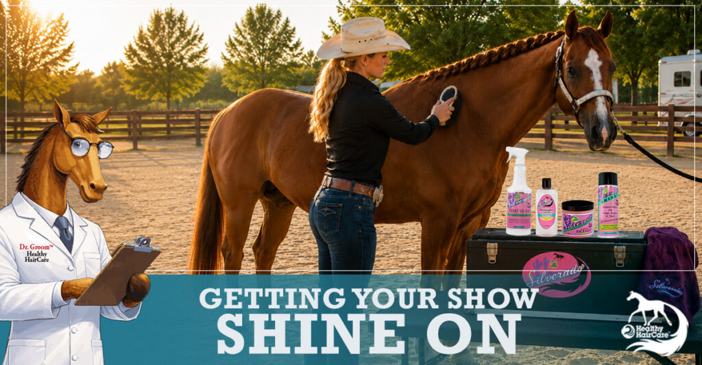 Woman grooming horse in show arena.
